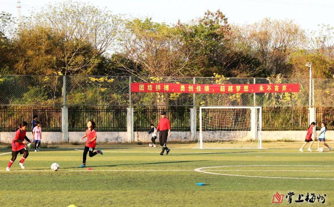 aoa体育课程-关于球场上热闹非凡真情与拼搏并存的信息