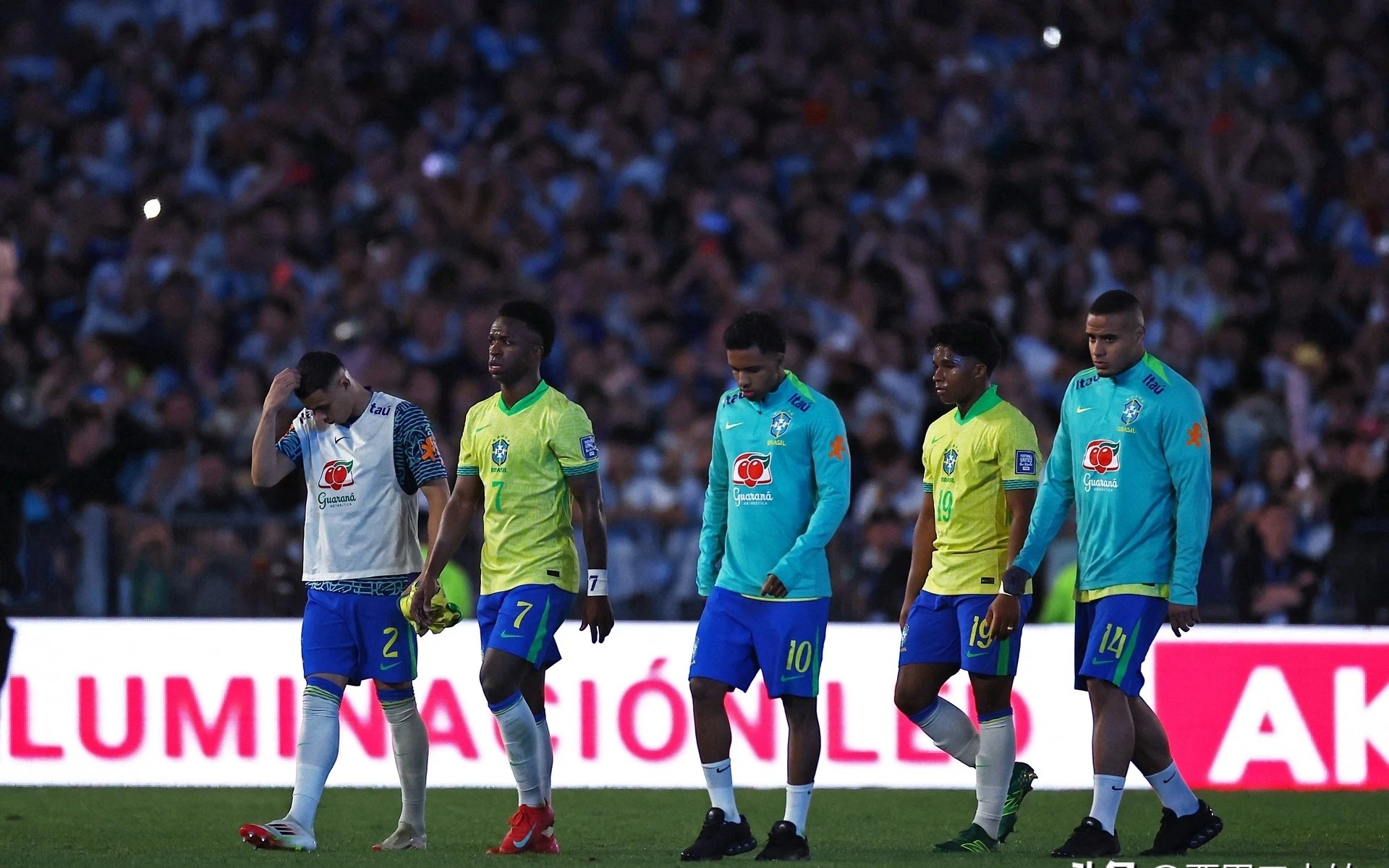 惊险瞬间：巴西和墨西哥排球队大战迎来演义的简单介绍